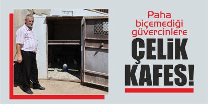 Paha biçilemeyen güvercinlere çelik kafes!