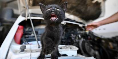 Tamire getirilen aracın motorundan çıktı! Usta sahiplendi