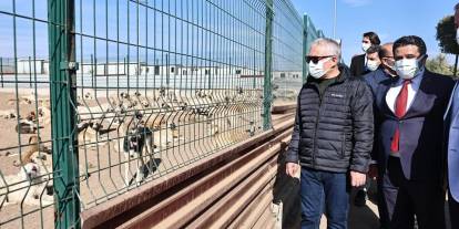 Sivas’ta Sokak Hayvanları için Yol Haritası Belirlendi