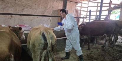 Hayvan pazarı kapatılmıştı! Sivas Tarım ve Orman Müdürlüğü’nden Şap hamlesi