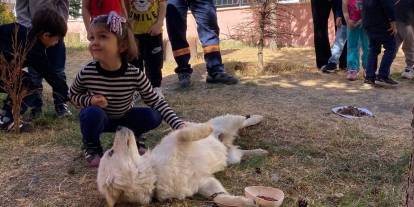 Sivas'ta Hayvanları Koruma Günü sevgiyle kutlandı