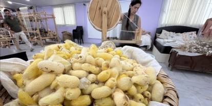 Depremde kurtardığı böcek yumurtaları gelir kapısı oldu