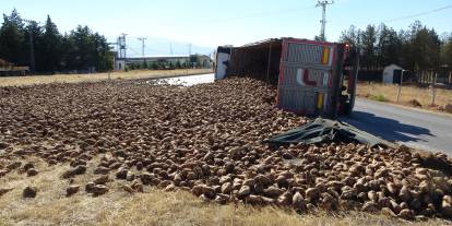 Sivas yolunda pancar yüklü TIR devrildi