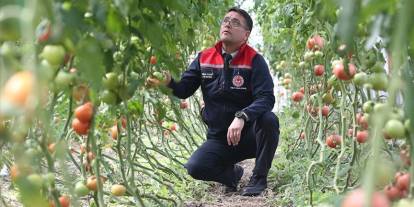 Ziraat mühendislerinin oluşturduğu sera vatandaşlara ilham oldu