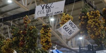 Sivas’ta çürüyen meyve şifa saçıyor