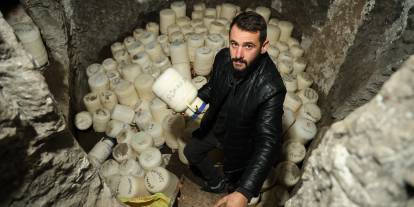 Sivas'ta 2 bin yıllık 'peynir oteli' yüzlerce bidon barındırıyor