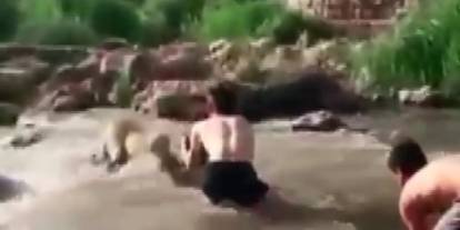 Sivas’ta Irmağın Ortasında Mahsur Kalan Anne Köpek Kurtarıldı