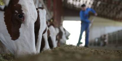 2026'da yetiştiricilere 36,6 milyar liralık destek öngörülüyor