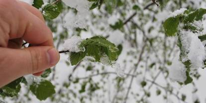 Üreticilere 20 milyar 423 milyon lira zirai don desteği
