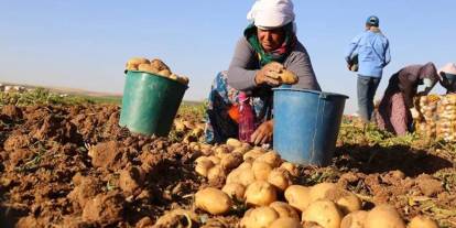 Üreticide 5 lira markette 25!