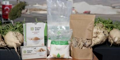 475 bin ton şeker üretimi hedefliyorlar