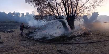 Sivas'ta çıkan yangında 200 ağaç zarar gördü!