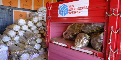 Sivas Topraklarında 11 Patates Türü Deneniyor