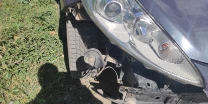 Sivas'ta başıboş köpekler park halindeki araca zarar verdi!