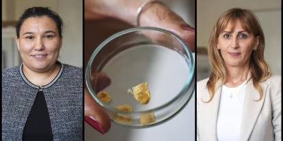 Balık kılçığı yüksek kaliteli kolajene dönüştürüldü