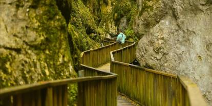 Bu kanyonun içinden sonbahar geçiyor