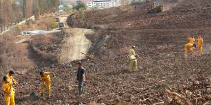 Bir günde 44 bin 50 fidan toprakla buluşturulacak