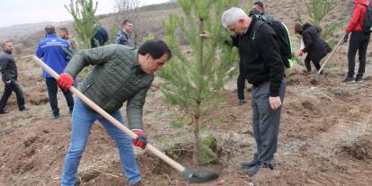 Sivas'ta 58 bin fidan toprakla buluşturuldu