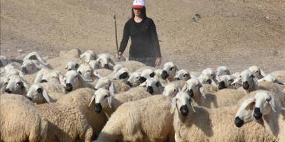 Devlet desteğiyle kapasitesini 7 kat artırdı