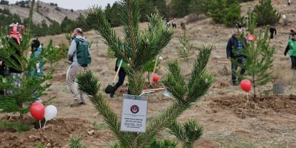 11 Kasım’da Fidan Rekoru Kırıldı