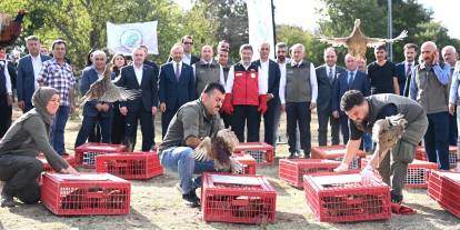 36 bin keklik kene avında