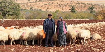 İkinci baharlarında belediyeden aldıkları destekle besici oldular