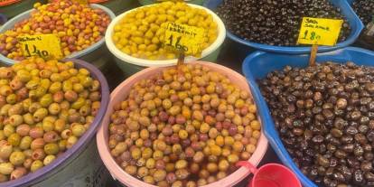 Oleolog açıkladı; Zeytin alırken nelere dikkat edilmeli
