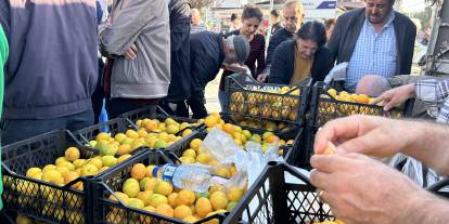 Deprem bölgesinde alıcı bulamayan üreticiler mandalinayı ücretsiz dağıttı