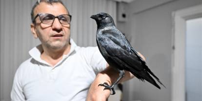 Sahiplendiği karga "Kömür" en yakın dostu oldu