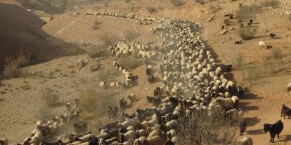 Göçerlerin zorlu yolculuğu başladı