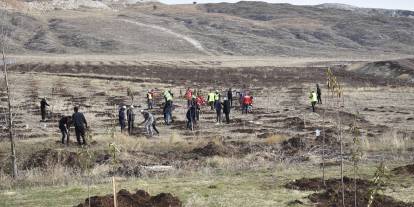 Sivas OSB’de Yüzlerce Fidan Toprakla Buluştu