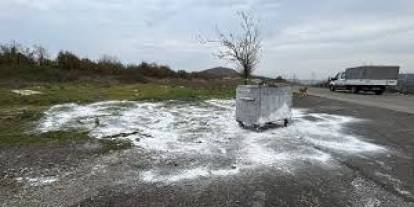 Samsun'da ölü bulunan 9 köpekten alınan doku örnekleri teste gönderildi