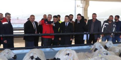 Küçükbaş Hayvancılığa Yüzde 70 Hibeli Büyük Destek