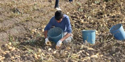 Sivas'ta yağışlar tarımsal beklentiyi karşıladı!