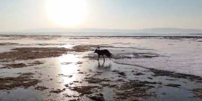 Sivas'tan kritik uyarı: "Doğa insanı uyarıyor"