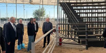 Adana’daki hayvan mezatı modeli Sivas’a geliyor