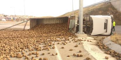 Pancar yüklü kamyon devrildi