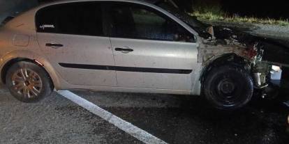 Sivas'ta otomobil domuza çarptı