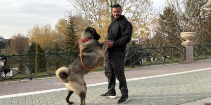 Sivas'ın Kangalını dünyaya tanıtıyor!