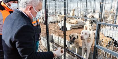 Sivas’ta rehabilitasyon merkezine kış düzenlemesi