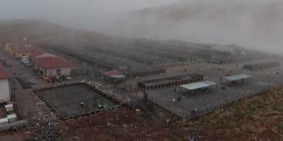 Sivas’ta hayvan barınağı baştan sona yenileniyor