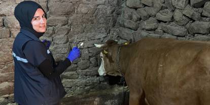 Sivas’ta rapel aşılama çalışmaları sürüyor