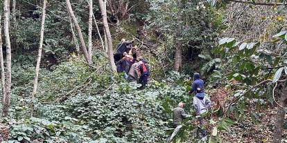 Kestiği ağacın çarpması sonucu yaralandı