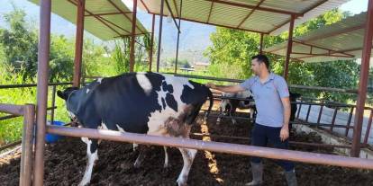 11 mahallede şap karantinası
