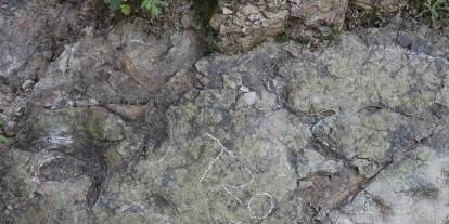 200 milyon yıl öncesine ait izler bulundu