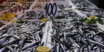 Balık tezgahlarında hamsi bolluğu