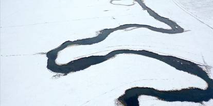 Menderesler hayvancılığa katkı sağlıyor