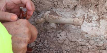 200 fosil çıkarıldı