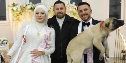 Denizli'de gelin ve damada Sivas Kangalı hediye edildi
