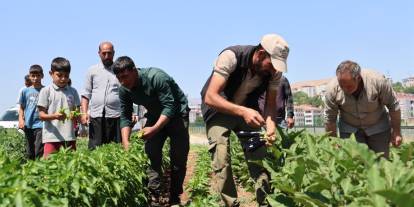 Tarladan sofraya yeni dönem! “B-Reçete” hangi illerde başlıyor?